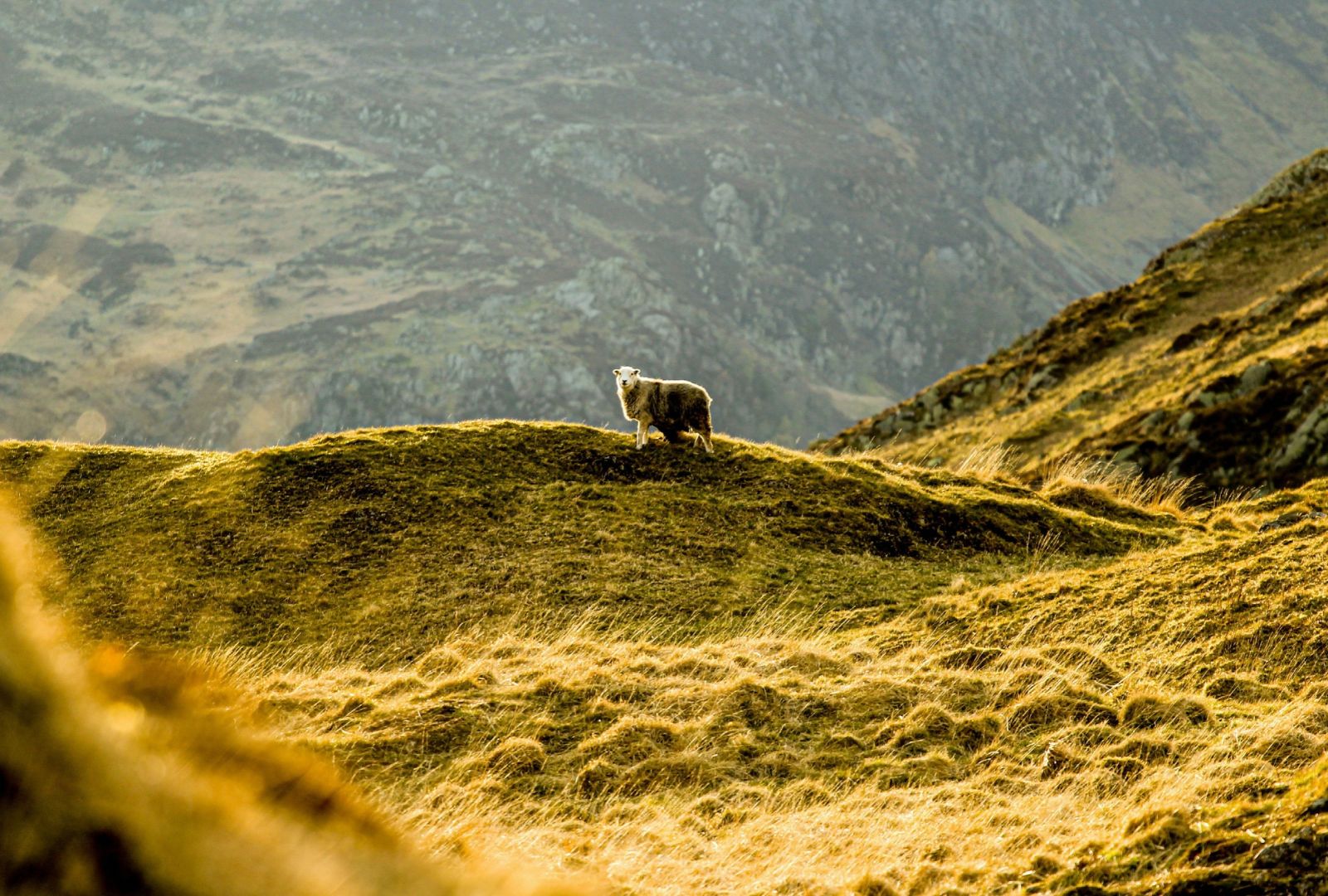 Borrowdale Valley