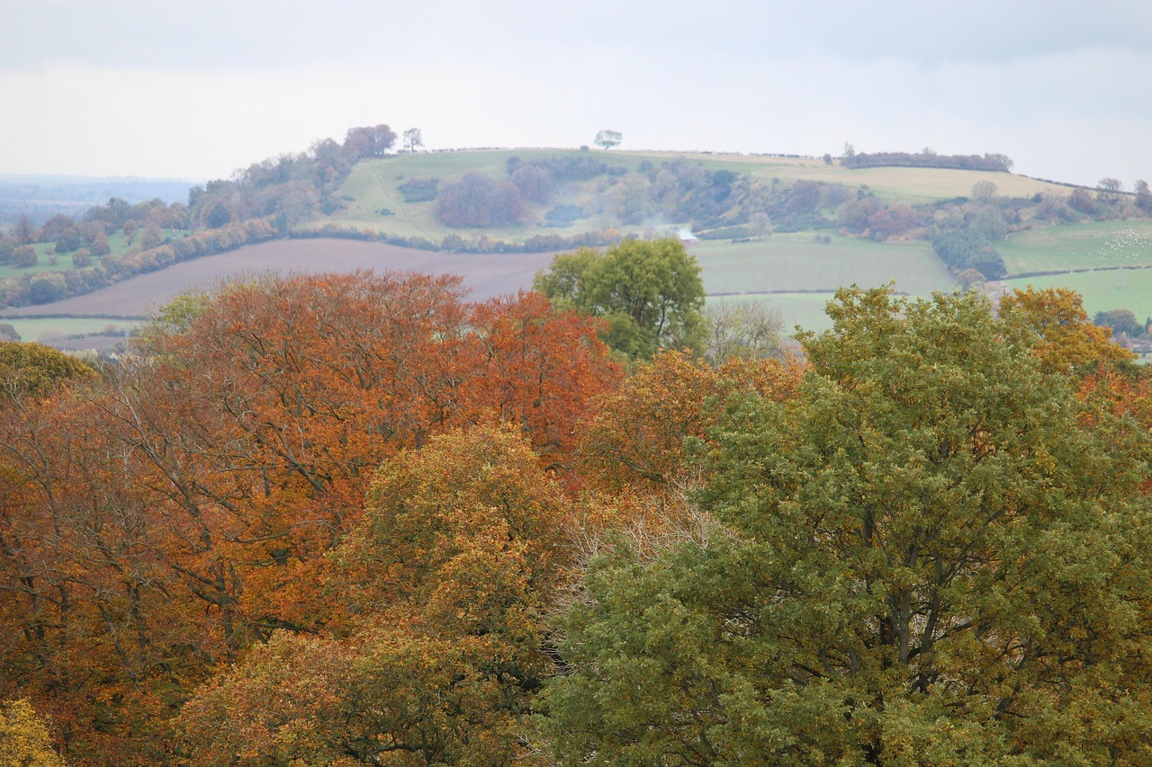 Landscape of the Cotswolds, showings the escarpment and surrounding countryside