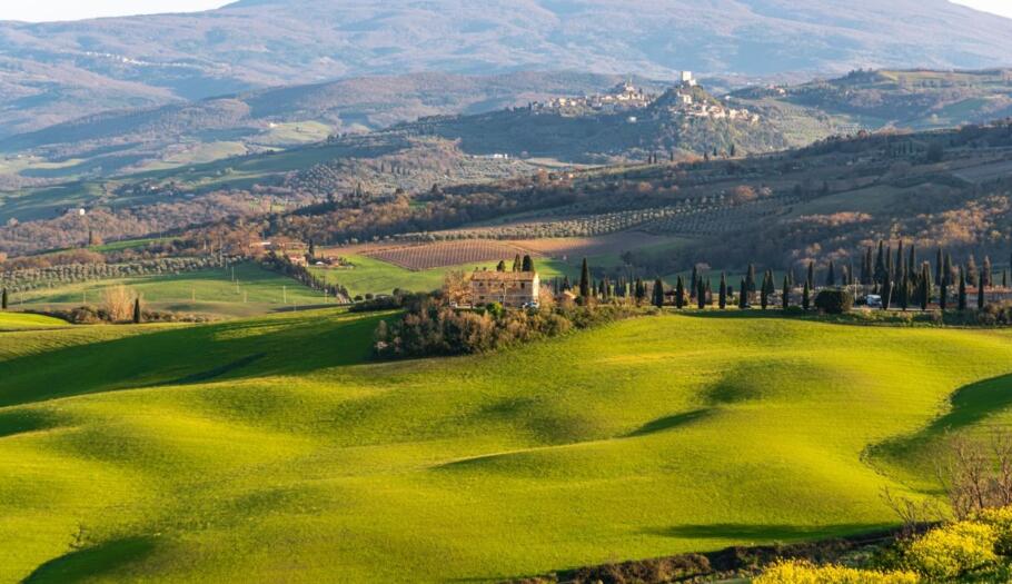 A cypress-lined path through the Tuscan countryside on the Via Francigena between Lucca and Siena