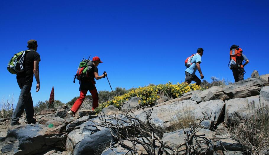 Hikers walking along the Teide National Park in the Canary Islands along the GR131