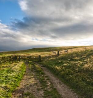 A New Walking Holiday – The Cleveland Way!