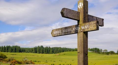All You Need To Know About Highland Cattle - Hillwalk Tours Self-Guided  Hiking Tours