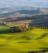 A cypress-lined path through the Tuscan countryside on the Via Francigena between Lucca and Siena